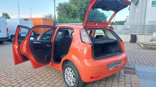 FIAT Punto usata 25