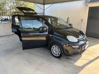 FIAT Panda usata, con Cerchioni in acciaio