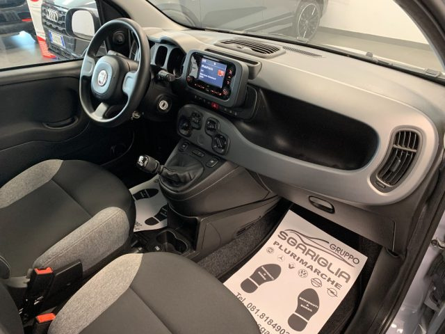 FIAT Panda usata, con Cronologia tagliandi