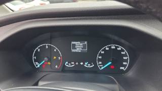 FORD Transit Custom usata 27