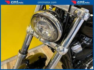 HARLEY-DAVIDSON Softail Standard usata 10