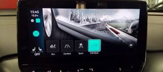 VOLKSWAGEN ID.4 usata 30