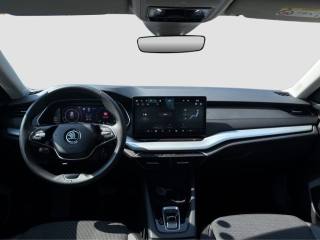 SKODA Octavia usata 11