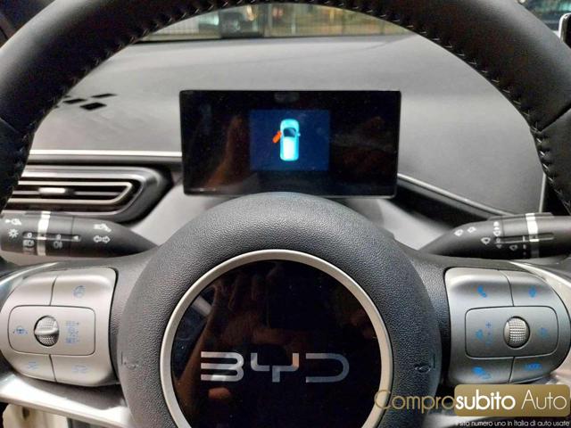 BYD Dolphin usata, con Servosterzo