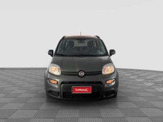 FIAT Panda usata 7