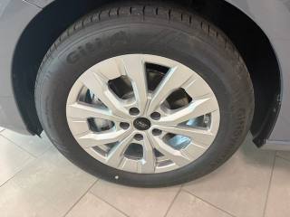 FORD Tourneo Connect usata, con Frenata d