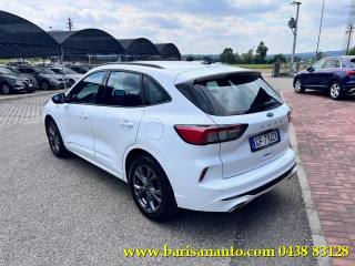 FORD Kuga usata, con Airbag Passeggero