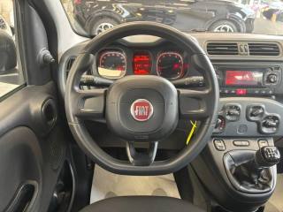 FIAT Panda usata, con Servosterzo