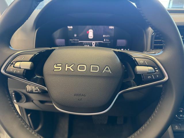 SKODA Karoq usata, con Filtro antiparticolato