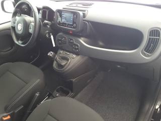 FIAT Panda usata, con Servosterzo