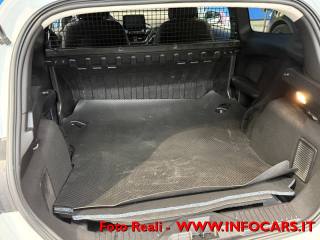 FORD Fiesta usata, con USB