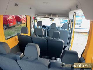 FORD Transit usata 13