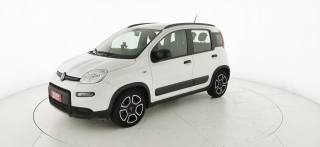 FIAT Panda usata 24