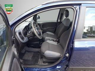 FIAT Panda Cross usata, con Chiusura centralizzata