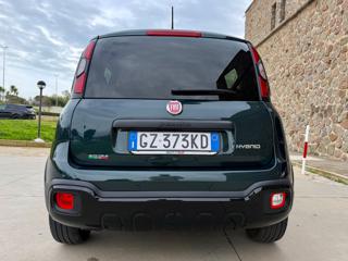 FIAT Panda Cross usata 44