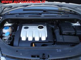 VOLKSWAGEN Golf Plus usata 14