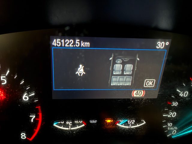 FORD Focus usata, con Cruise Control