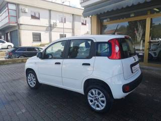 FIAT Panda usata, con Airbag Passeggero