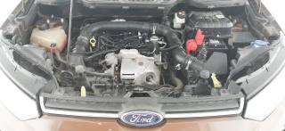 FORD EcoSport usata 62