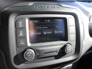 JEEP Renegade usata, con Vivavoce
