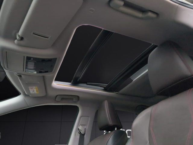 LEXUS RX 450h usata, con Fendinebbia