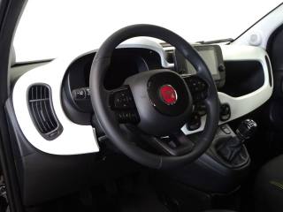 FIAT Panda usata, con Fendinebbia