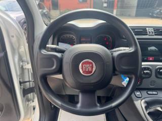 FIAT Panda usata, con Cronologia tagliandi