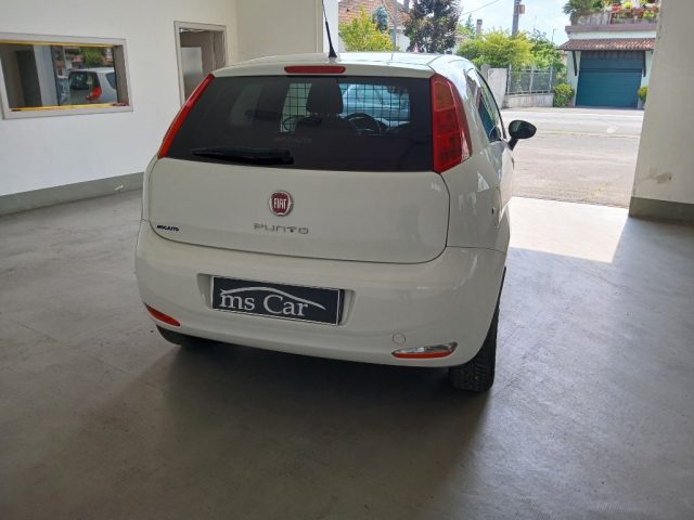 FIAT Punto Evo usata, con Alzacristalli elettrici