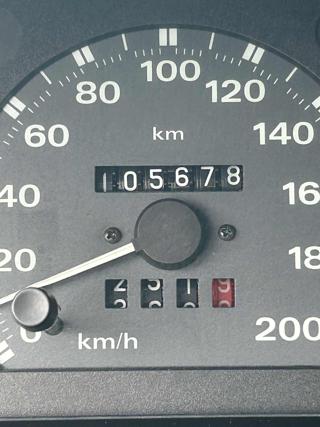 FIAT Punto usata 12