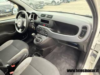 FIAT Panda usata 14