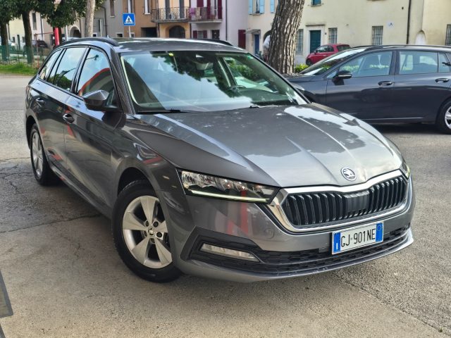 SKODA Octavia usata 117