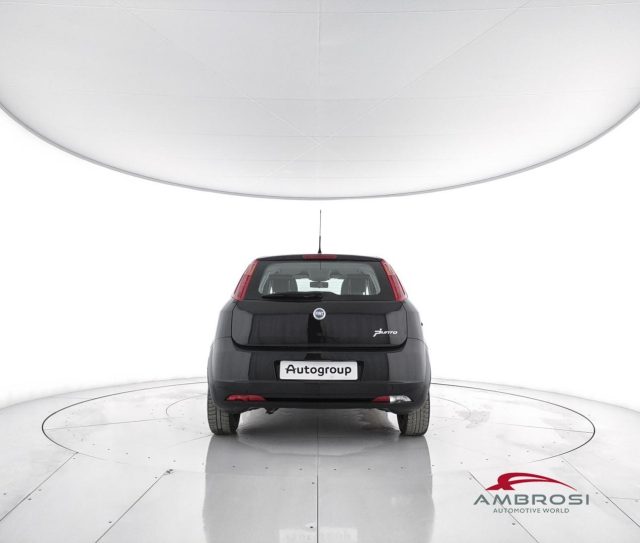 FIAT Punto usata 5