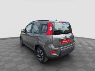 FIAT Panda usata 2