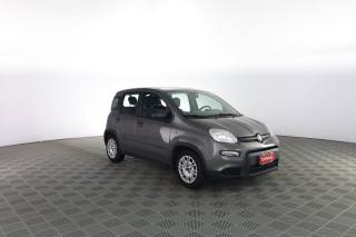 FIAT Panda usata 1