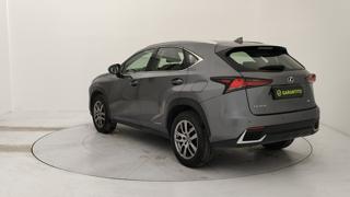 LEXUS NX 300h usata, con Airbag laterali