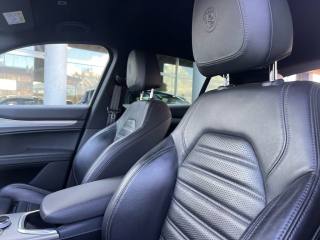 ALFA ROMEO Stelvio usata, con Fari Xenon