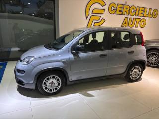 FIAT Panda usata, con Airbag laterali