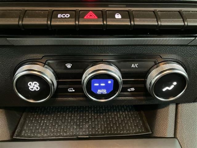 RENAULT Kangoo usata 19