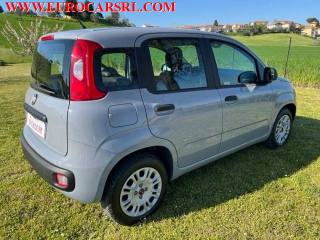 FIAT Panda usata, con Controllo trazione