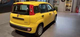 FIAT Panda usata, con Antifurto