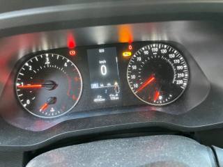 RENAULT Trafic usata, con Cruise Control