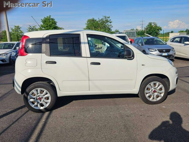 FIAT Panda usata 10