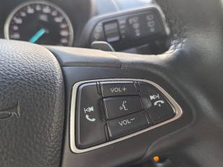 FORD EcoSport usata, con Airbag testa