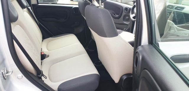 FIAT Panda usata, con Fendinebbia