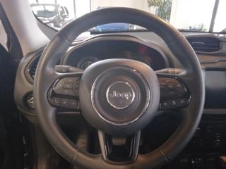 JEEP Renegade usata, con Cerchi in lega