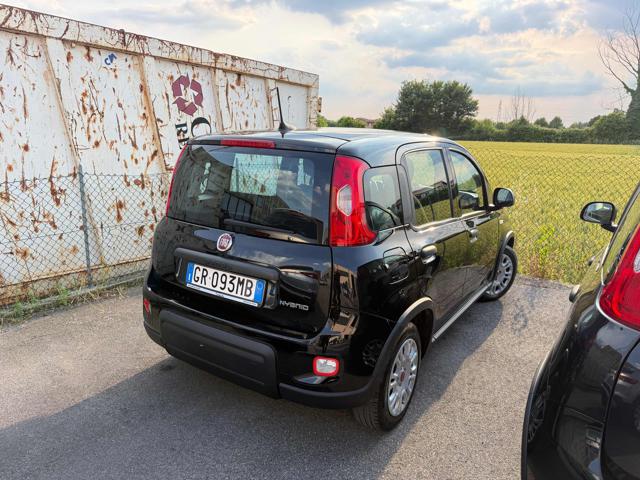 FIAT Panda usata, con Alzacristalli elettrici