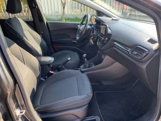 FORD Fiesta usata, con Cronologia tagliandi