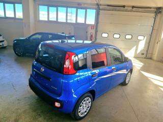FIAT Panda usata, con Airbag Passeggero