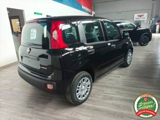 FIAT Pandina usata, con Alzacristalli elettrici