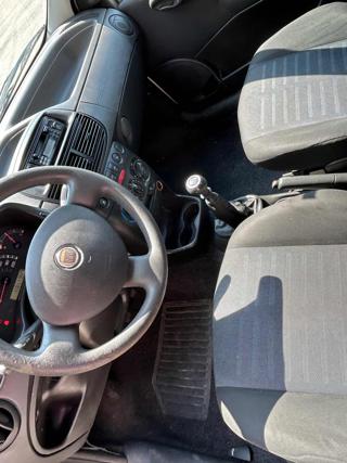FIAT Punto usata 7
